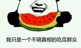 吃瓜事件是什么意思啊,网络热议背后的真相与反思