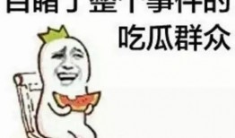 饭桶吃瓜群众,揭秘网络舆论场的众生相