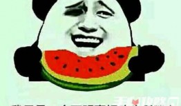 吃瓜的梗是怎么来的,揭秘“吃瓜”的起源与演变