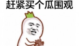 吃瓜群众百度百科下载,揭秘网络围观现象背后的社会心理