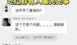 吃瓜群聊天记录及视频网站,视频网站背后的精彩瞬间