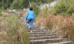 17吃瓜最新回家的路,探寻回家的路，揭秘人生旅程的温馨篇章
