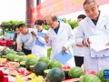 有啥吃瓜的论坛,一网打尽娱乐圈最新动态