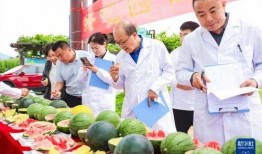有啥吃瓜的论坛,一网打尽娱乐圈最新动态
