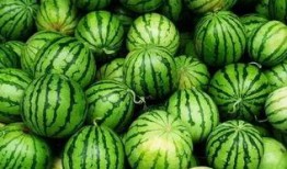 吃瓜群是什么群,网络社交新现象背后的故事