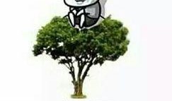 吃瓜群众在线吃瓜表情包下载,吃瓜群众表情包下载指南