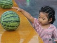 吃瓜比赛技巧,揭秘吃瓜比赛的五大绝技