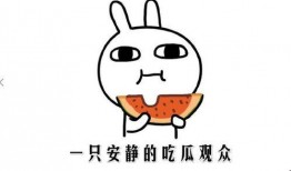 吃瓜群众什么意思,网络时代的旁观者与评论者