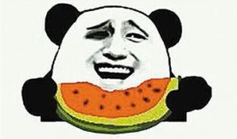 吃瓜群众是啥,网络时代的围观者与传播者