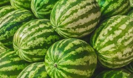 17c吃瓜大赛,一场全民参与的瓜界盛宴