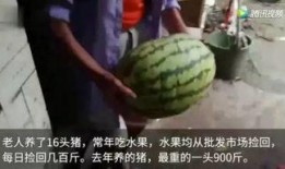 在线观看吃瓜群众视频完整版,在线观看视频背后的真实故事
