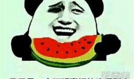 吃瓜群众是啥,网络时代的围观者与传播者
