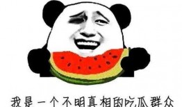 热门吃瓜群,网络舆论场中的热点追踪与热议风云